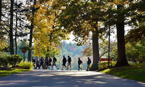 Study at GMercyU 